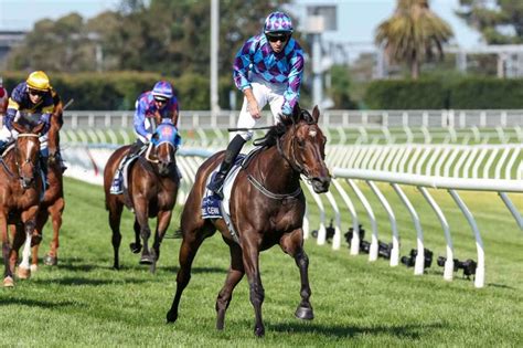 all star mile field